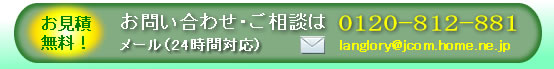 �ڍׂ͖₢���킹�������B0120-911-791