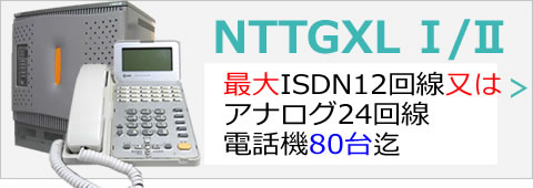 NTT αGX/L