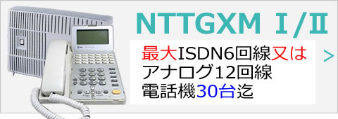 NTTαGX/M