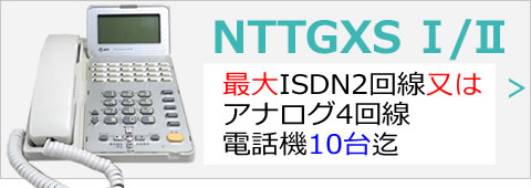 NTTαGX/S