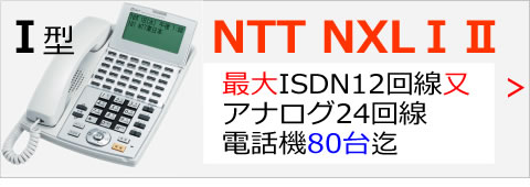 NTTαNX/L(ⅠⅡ)