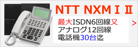 NTTαNX/M(ⅠⅡ)