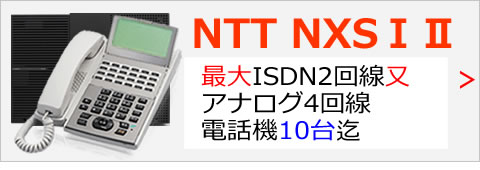NTTαNX/S(ⅠⅡ)