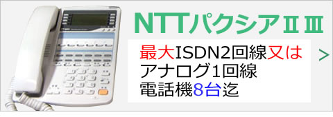 NTT パクシアⅡ